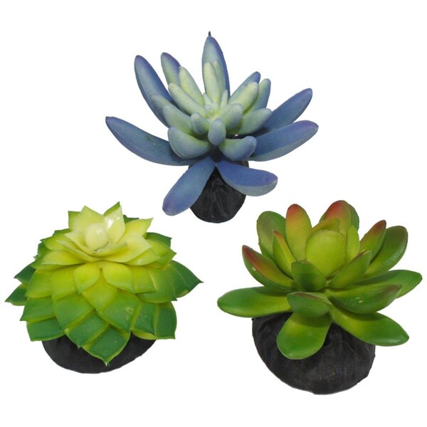 Multipet Komodo Desert Succulent Plant - Blue & Green, 3PK 784369933093 - main